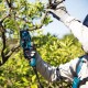 MAKITA DUP362PT2 ΔΕΝΔΡΟΚΟΜΙΚΟ ΨΑΛΙΔΙ ΚΛΑΔΕΜΑΤΟΣ ΕΠΑΝΑΦΟΡΤΙΖΟΜΕΝΟ 36V